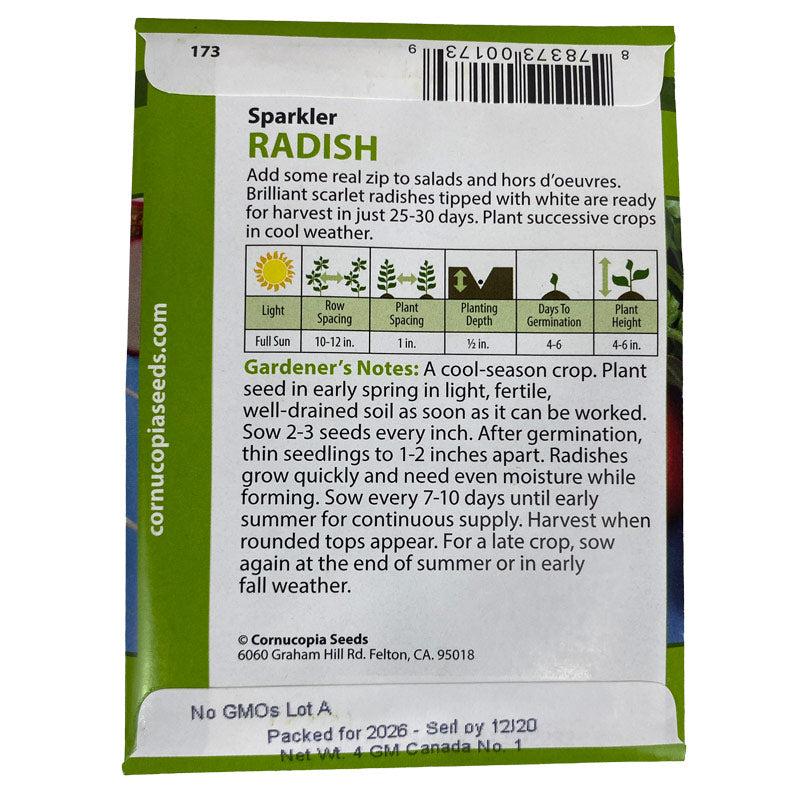 Organic Sparkler Radish White Top Renees Garden