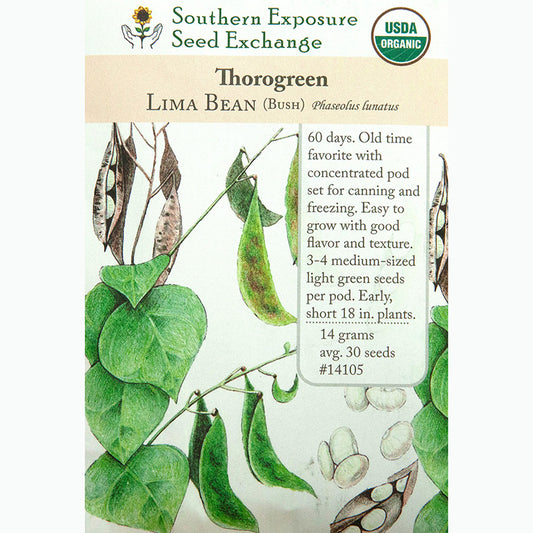Seed Pack For Thorogreen Lima Bean By Southern Exposure Seed Exchange 