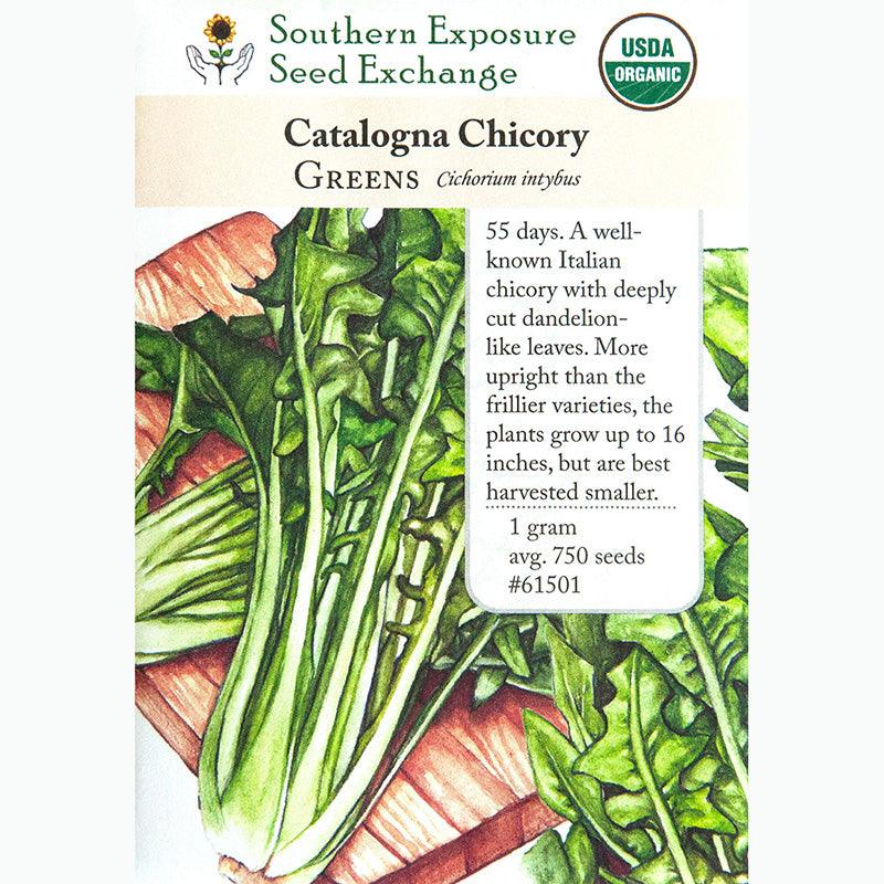 chicory plant seeds Southern Exposure Organic Chicory Catalogna – Grow Organic