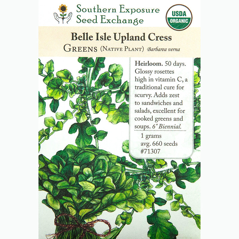 Seed Pack For Belle Isle Upland Cress By Southern Exposure Seed Exchange 