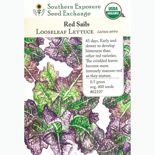 Seed Pack For Red Sails Looseleaf Lettuce By Southern Exposure Seed Exchange 