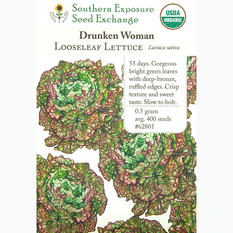 Seed Pack For Drunken Woman Looseleaf Lettuce