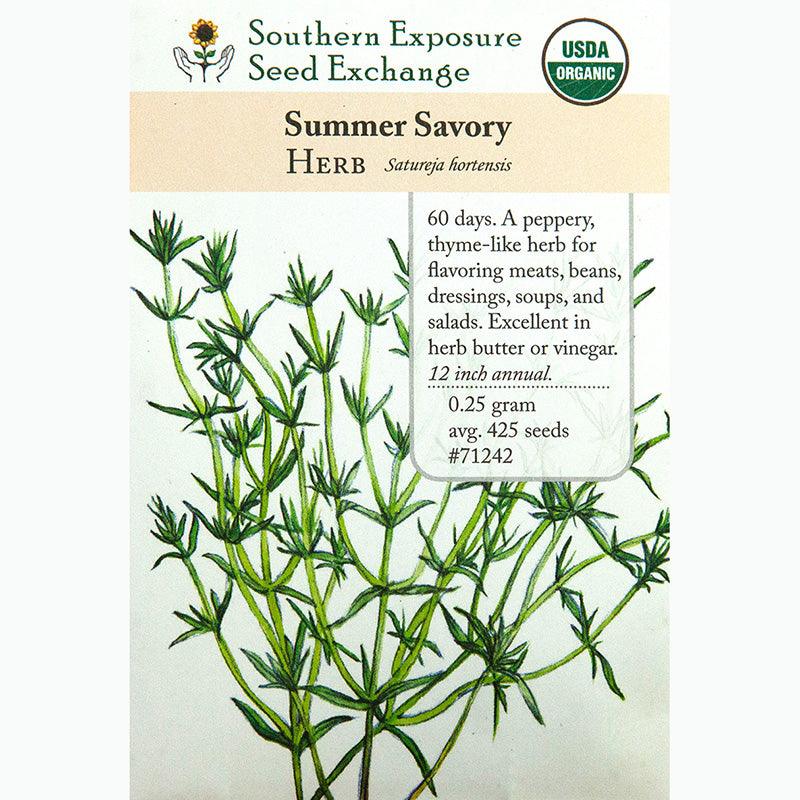 planting summer savory seeds Summer Savory Seeds (Organic)