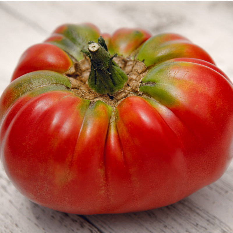 A close up of a German Johnson Tomato, a ribbed tomato with a green top, and red bottom