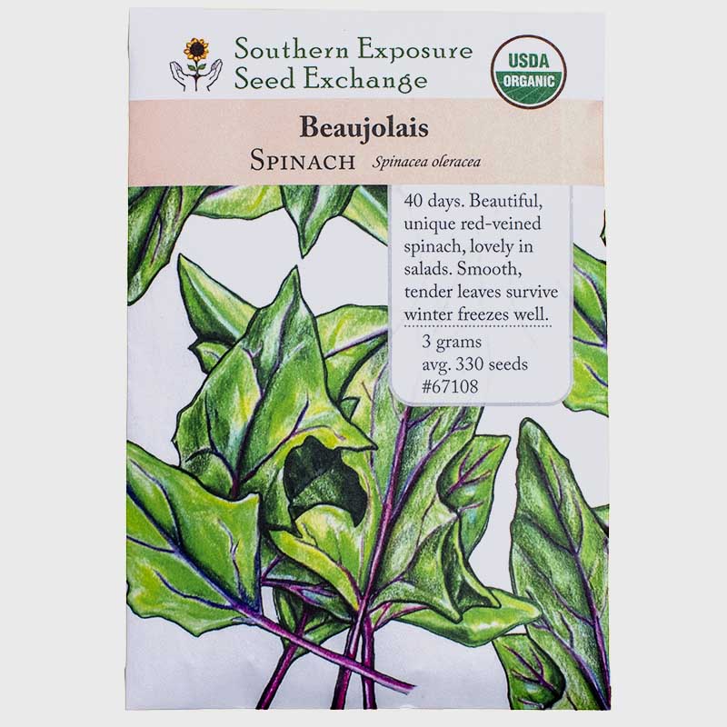 Beaujolais Spinach Seeds (Organic) Southern Exposure Seed Exchange