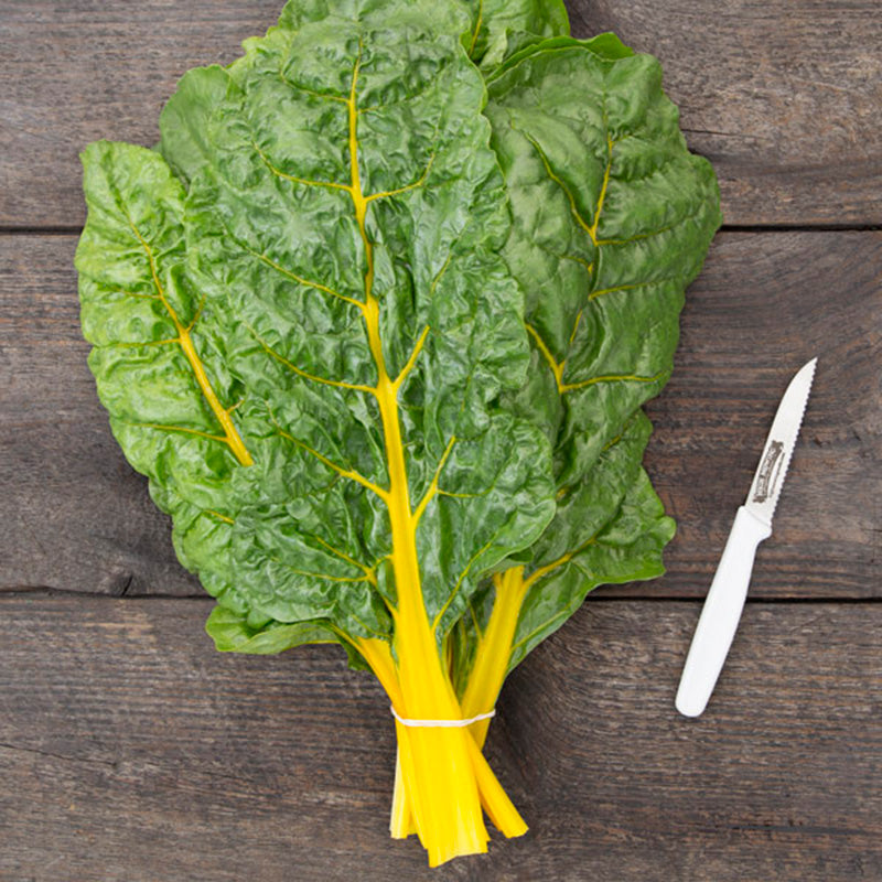 A group of Sunset Chard leaves bundled together against a wooden blank background, Chard is displaying bright yellow stalks and green leaves 