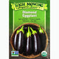 Seed Pack For Diamond Eggplant By High Mowing Organic Seeds 