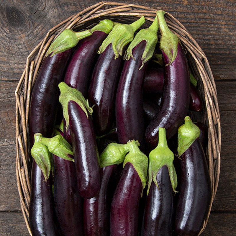 A woven basket piled high with Little Finger eggplants, eggplants are bright green stemmed and elongated
