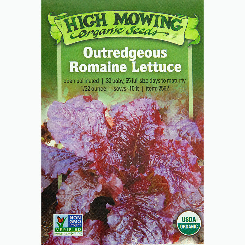 Seed Pack for Outredgeous Romaine Lettuce By High Mowing Organic Seeds