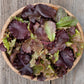 A wooden bowl full of Red Planet Lettuce Blend, Lettuce leaves are varied reds and greens, as well as varied shapes