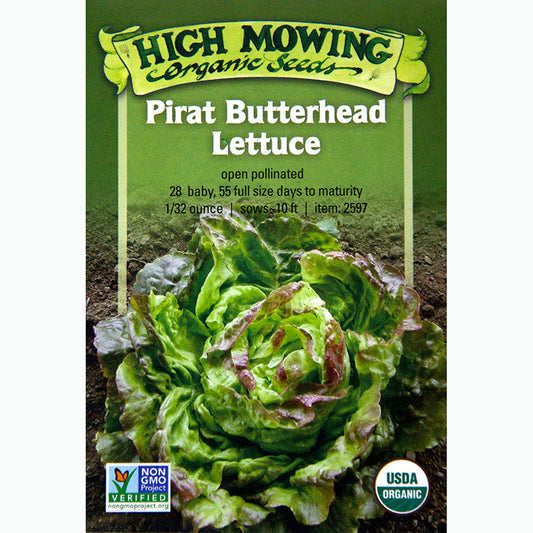 Seed Pack For Pirat Butterhead Lettuce By High Mowing Organic Seeds