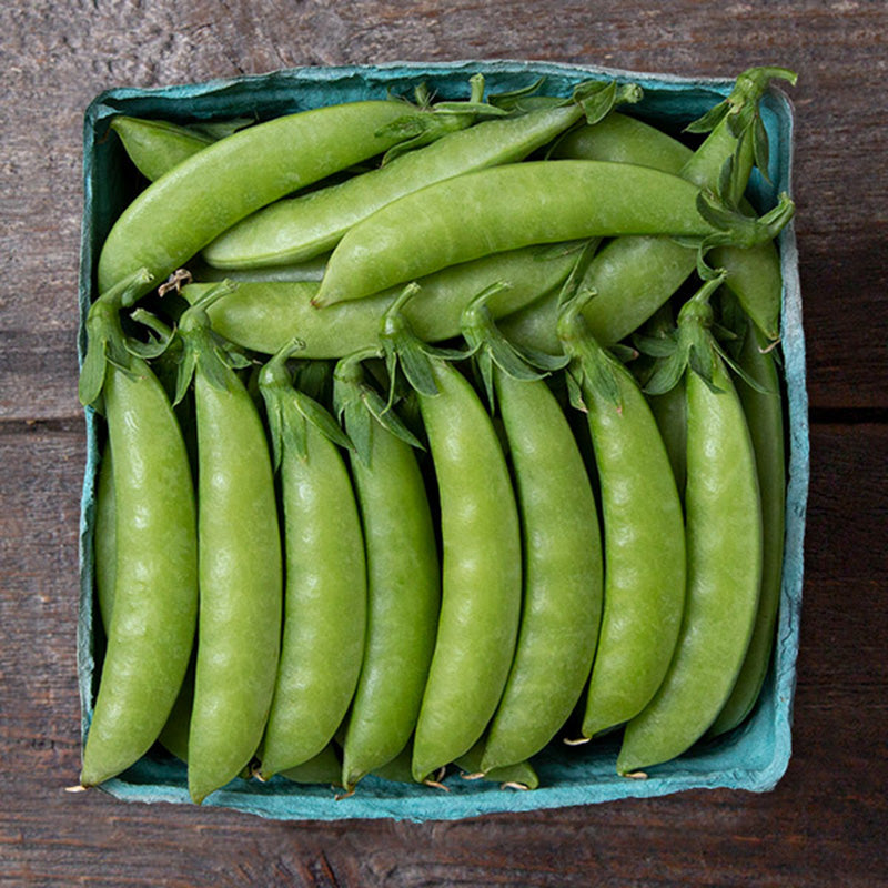 A small box of Sweet Gem Sugar Snap Pea pods, displayed against a wooden plank background 