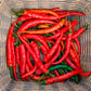 A woven basket with the bottom covered in Hot Ring-O-Fire Cayenne Peppers, Peppers are a bright red with deep green stems 