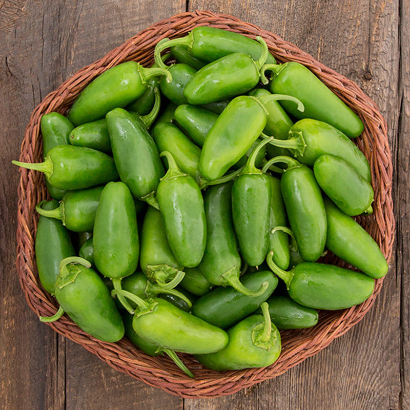 A woven basket displaying Hot Jalapeno Early Peppers on a wooden plank background, Peppers are bright to deep greens 