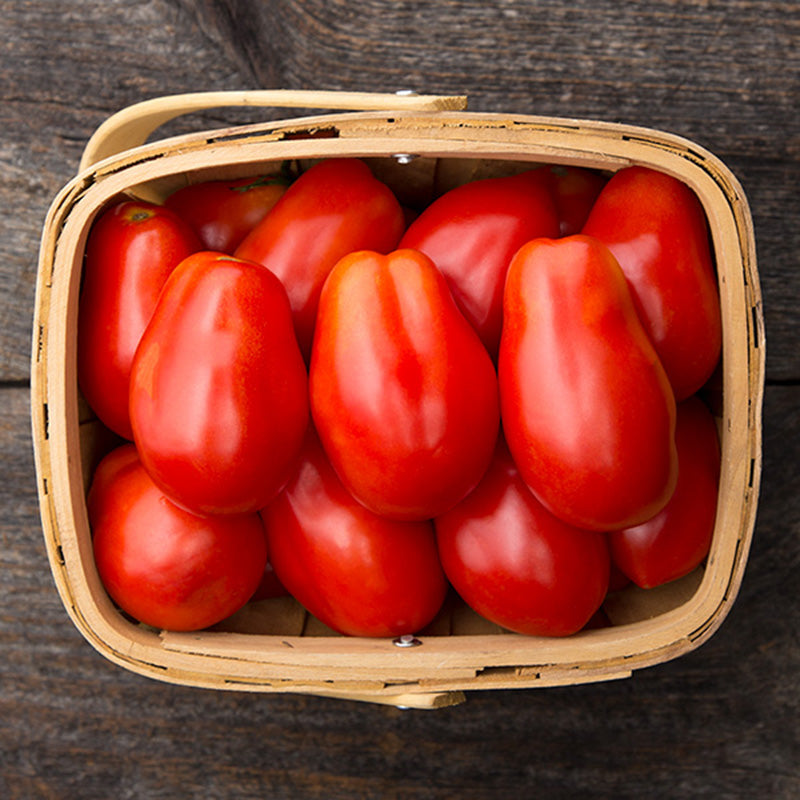 A small basket of Roma VF Paste Tomatoes, oblong shaped and a vibrant red hue 