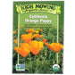 California Orange Poppy (Organic) - Grow Organic