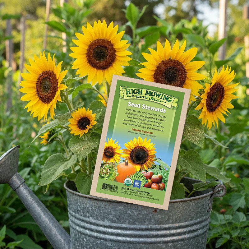 Seed Stewards 6 Packets Seeds (Organic) High Mowing Seeds