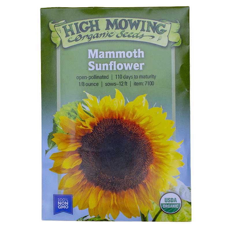 Kid's Garden 5 Seeds Packets (Organic) High Mowing Seeds