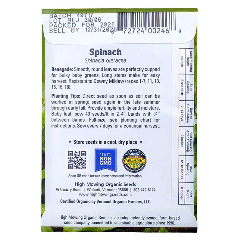 Easy Salad Greens 3 Seeds Packets (Organic) High Mowing Seeds