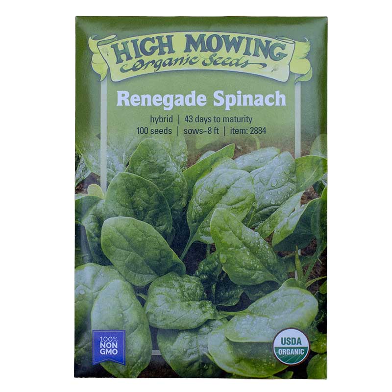 Easy Salad Greens 3 Seeds Packets (Organic) High Mowing Seeds