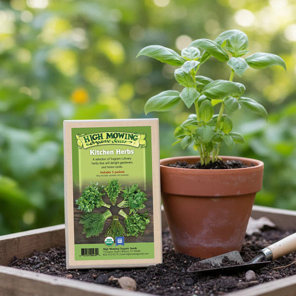 cook's garden seeds Organic Kitchen Herbs 5 Seeds Packets