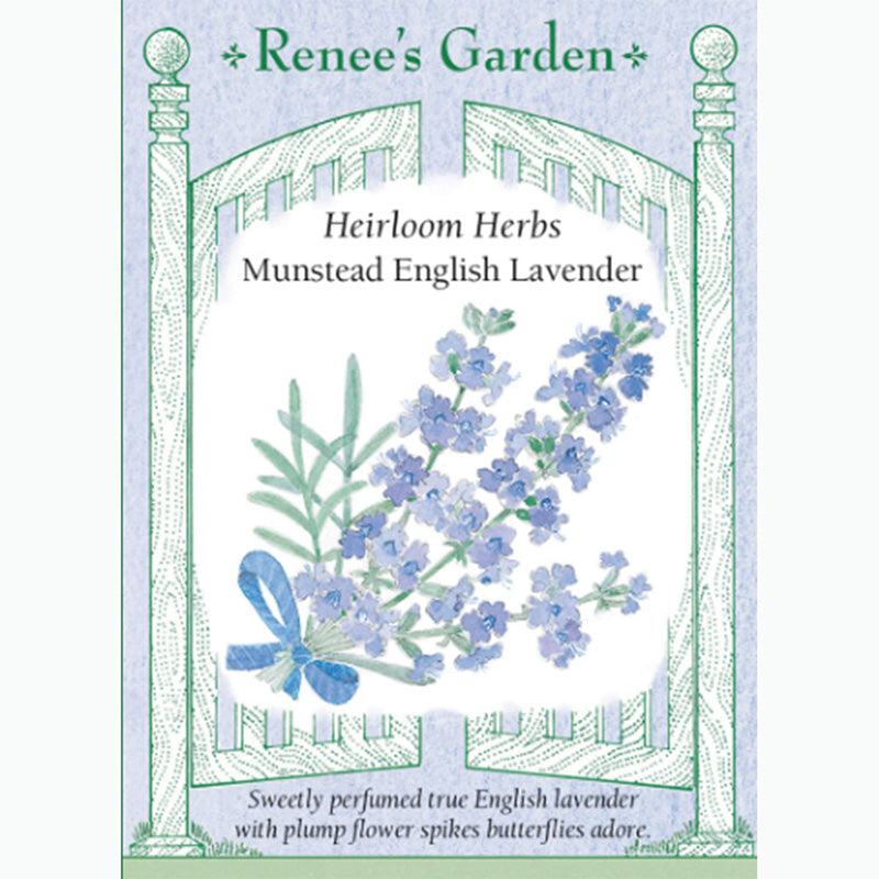 Seed Pack For Munstead English Lavender By Renee's Garden