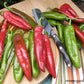 A cutting board full of NuMex Joe E. Parker Pepper 