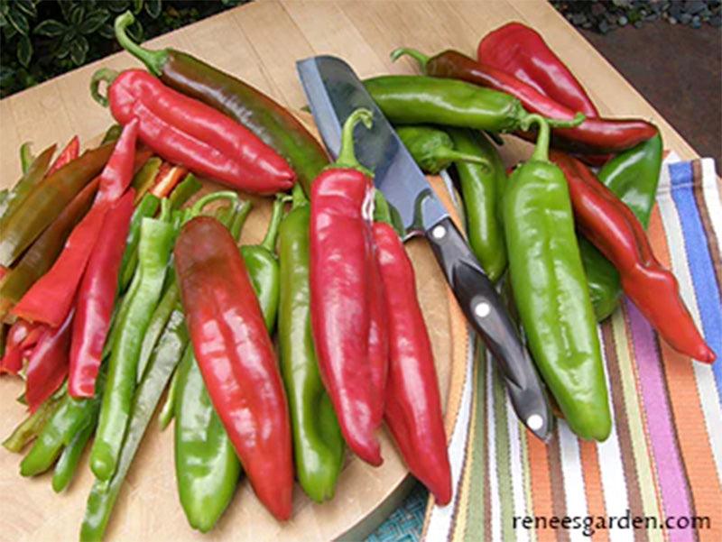 A cutting board full of NuMex Joe E. Parker Pepper 