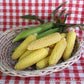 A basket full of Husked Early Corn Casino resting on a red picnic blanket