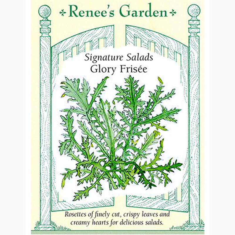 Seed Pack For Glory Frisee By Renee's Garden 