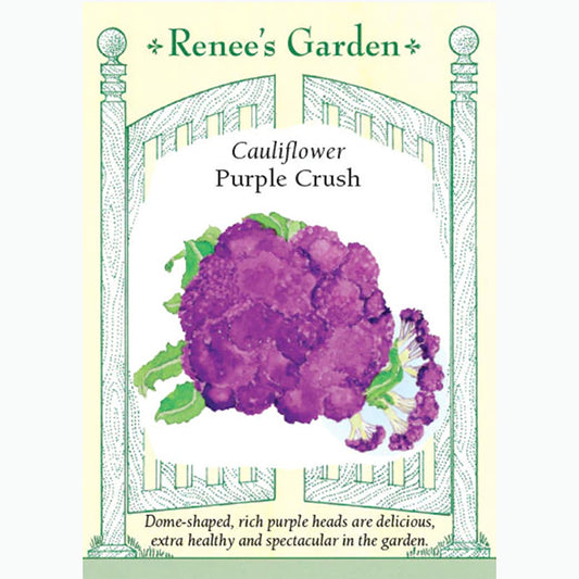 Seed Pack For Purple Crush Cauliflower By Renee's Garden 