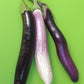 Purple, White, and pink elongated eggplants 