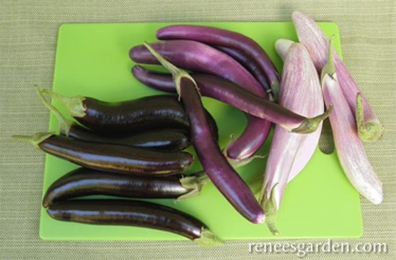 A cutting board full of assorted Asian Trio Eggplants, colors include Deep purple to black, Pink, and a pink shade of white 