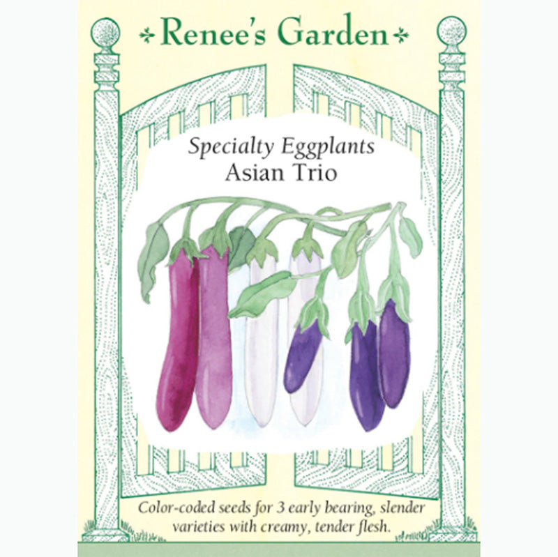 Seed Pack For Asian Trio Eggplants By Renee's Garden 