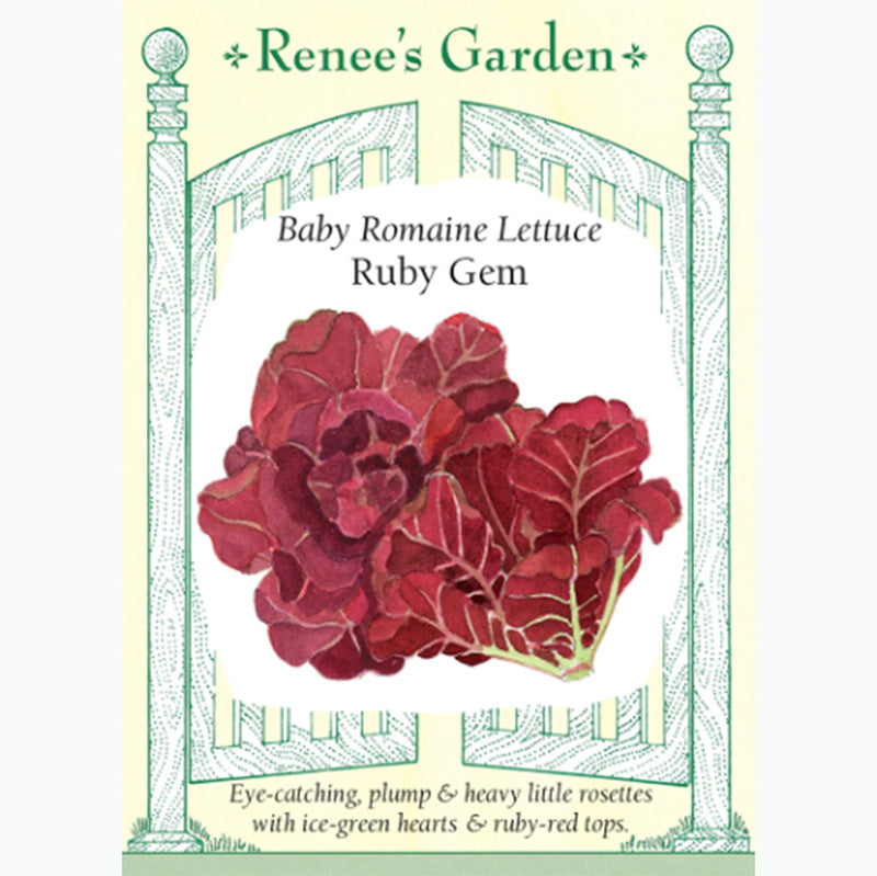 Seed Pack For Ruby Gem Baby Romaine Lettuce By Renee's Garden 