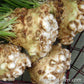 Prinz Celeriac/Celery Root Seeds