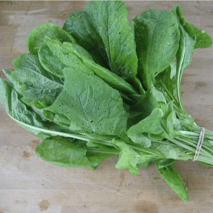 Tendergreen Komatsuna Art Pack Certified Organ - Grow Organicic