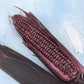 Double Red Corn Art Pack (Organic) - Grow Organic