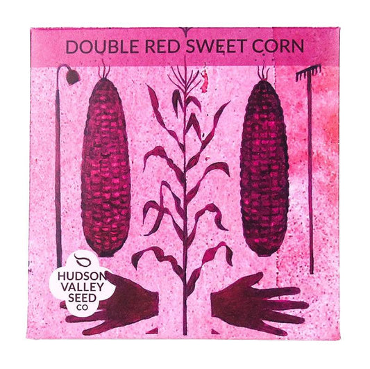 Seed pack artfully depicting Double Red Corn, A deep purple maroon ink is used 