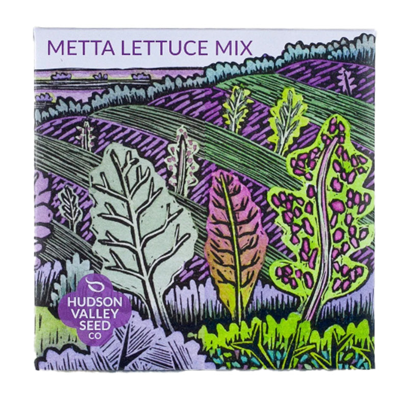 Seed Pack of Organic Metta Lettuce Mix, Illustrated with purples and greens 