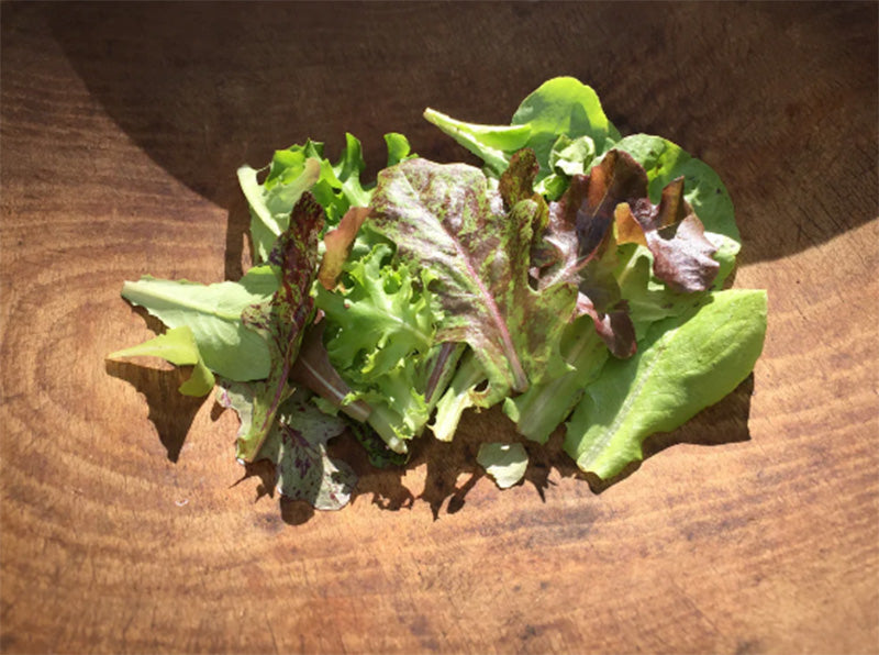 Metta lettuce gracefully depicted on a cutting board