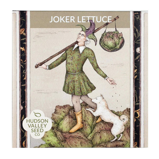 Joker Lettuce Seed Pack, A jester holds a hobo stick with a head of Joker lettuce as luggage