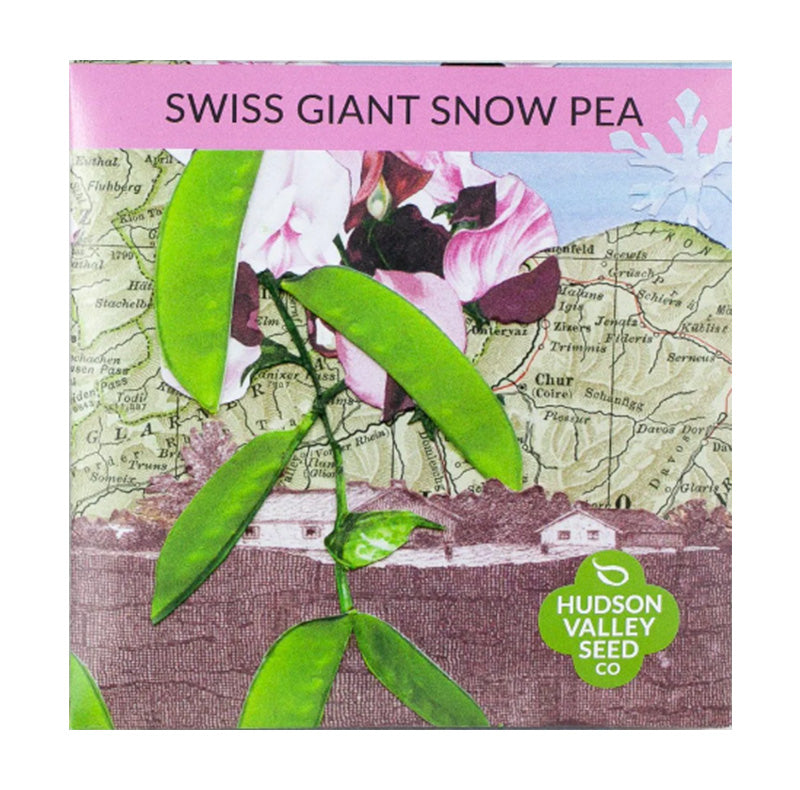 Swiss Giant Snow Pea Seed Pack, Pods are displayed over a map background 