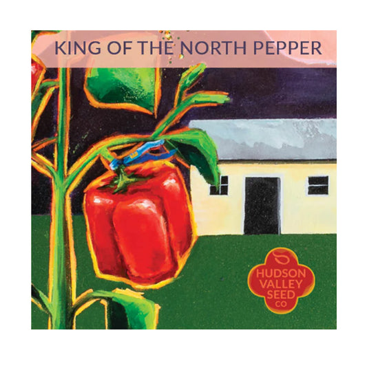 King of the north seed pack, Illustrated and depicting a red pepper 