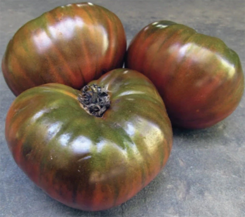 Large Green and Red Paul Robeson Tomatoes 