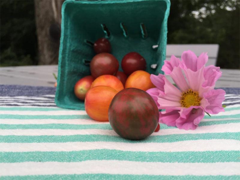 Tipped over tomato Container presenting Multicolored Bumlbebee Cherry Tomatoes, Resting next to a purple flower for contrast