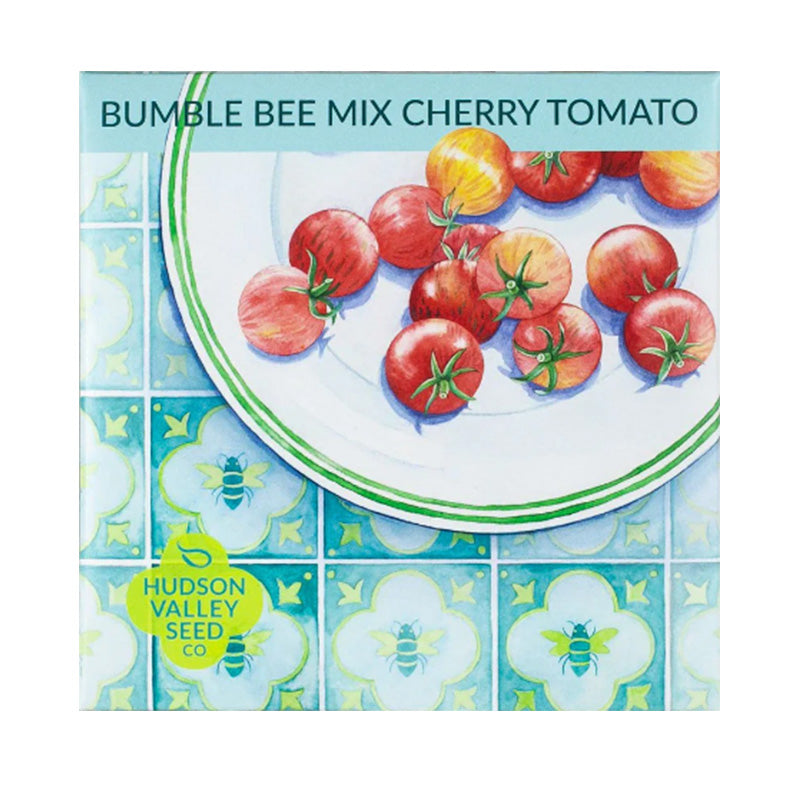 Artfully designed Bumblebee Cherry Tomato Pack , tomatoes on a white plate on a blue tablecloth 