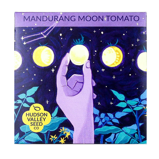 Artfully designed Mandurang Moon Cherry Tomato Pack, Hand depicting Yellow Mandurang Tomato as the moons light 