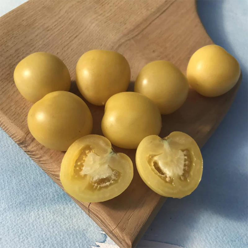 A cutting board with Mandurang Moon Cherry Tomatoes, tomatoes are a yellow hue 