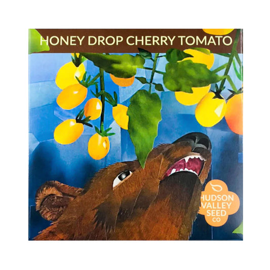 Artfully designed Seed Pack for Honey Drop Cherry Tomatoes, Depicting a brown bear eating a golden harvest 